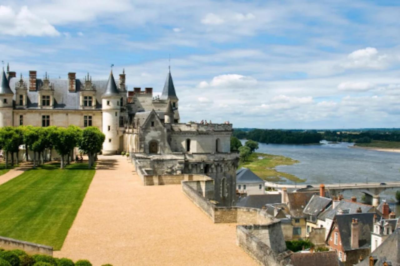 Da Vinci - Charmant Et Relax Amboise Zewnętrze zdjęcie